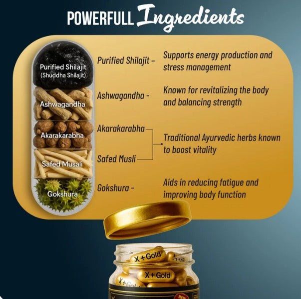 X-Plus Gold – Premium Men’s Wellness Support